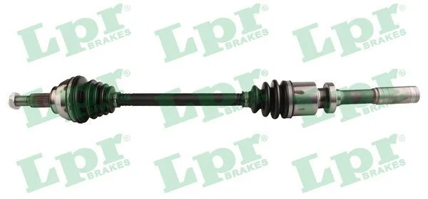 Pusašis LPR DS52241