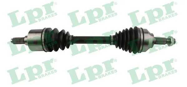 Pusašis LPR DS60210