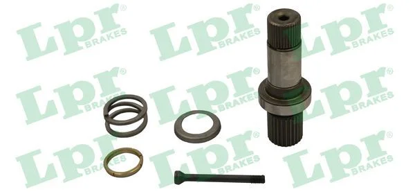 Pusašis LPR DS61196