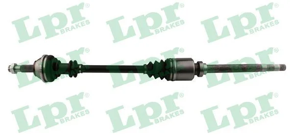 Pusašis LPR DS16097