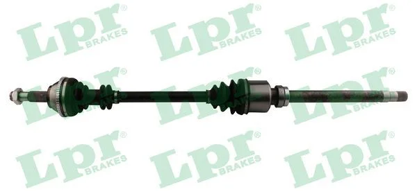 Pusašis LPR DS20140