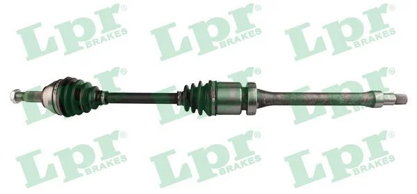 Pusašis LPR DS21070