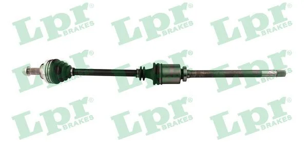 Pusašis LPR DS37074