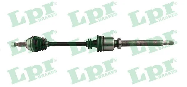 Pusašis LPR DS52255