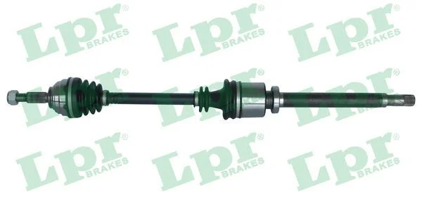 Pusašis LPR DS52272