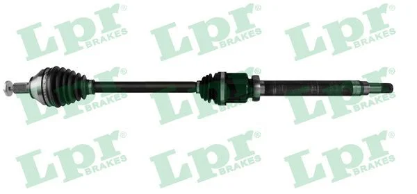 Pusašis LPR DS52572