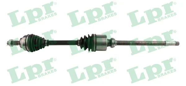 Pusašis LPR DS60206
