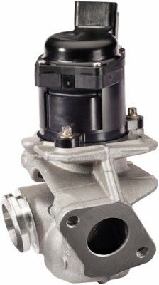 EGR Valve HELLA 6NU 010 171-121