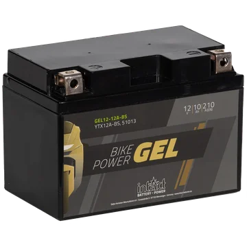 IG CTX12A-BS INTACT IG CTX12A-BS