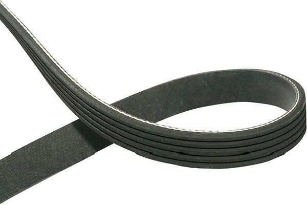 V formos rumbuoti diržai Kavo Parts DMV-3015