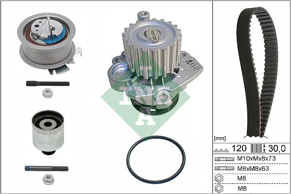 Water Pump & Timing Belt Kit INA 530 0201 33