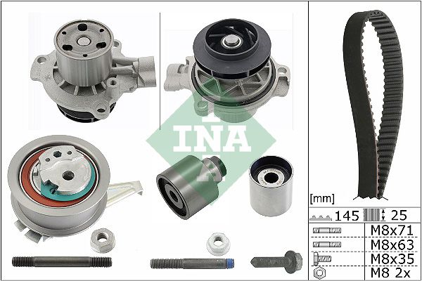 Water Pump & Timing Belt Kit INA 530 0699 31