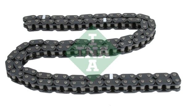 Timing Chain INA 553 0243 10