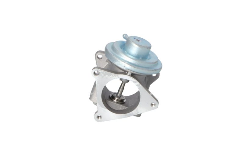 EGR Valve NRF 48321