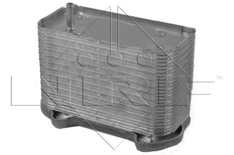 Oil Cooler, engine oil NRF 31291