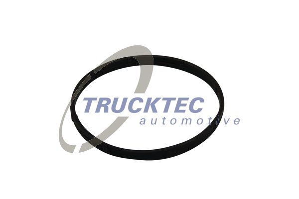 Ущільнення, корпус випускного колектора TRUCKTEC AUTOMOTIVE 02.14.174