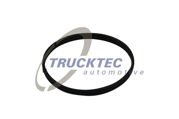 Tarpiklis, įsiurbimo kolektoriaus korpusas TRUCKTEC AUTOMOTIVE 02.14.174