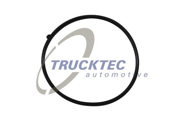 Tarpiklis, įsiurbimo kolektoriaus korpusas TRUCKTEC AUTOMOTIVE 02.16.057