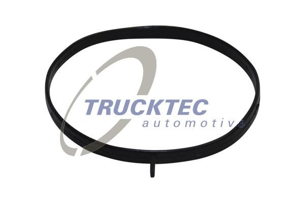 Tarpiklis, įsiurbimo kolektoriaus korpusas TRUCKTEC AUTOMOTIVE 02.16.058