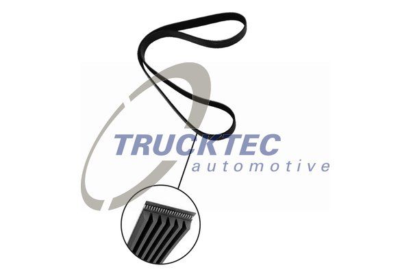 V-Ribbed Belt TRUCKTEC AUTOMOTIVE 02.19.224