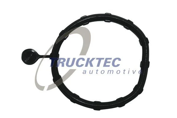 Vandens bakelio tarpiklis TRUCKTEC AUTOMOTIVE 02.19.346