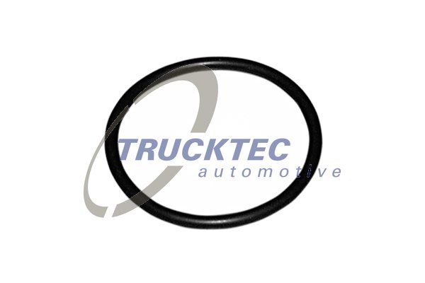 Ущільнення, термостат TRUCKTEC AUTOMOTIVE 07.19.039
