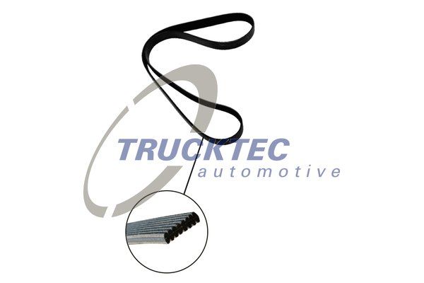 V-Ribbed Belt TRUCKTEC AUTOMOTIVE 07.19.135