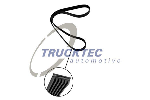 V-Ribbed Belt TRUCKTEC AUTOMOTIVE 07.19.241