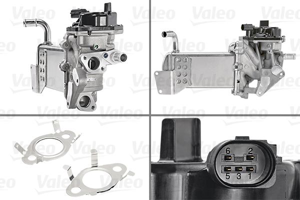 EGR Module VALEO 700439