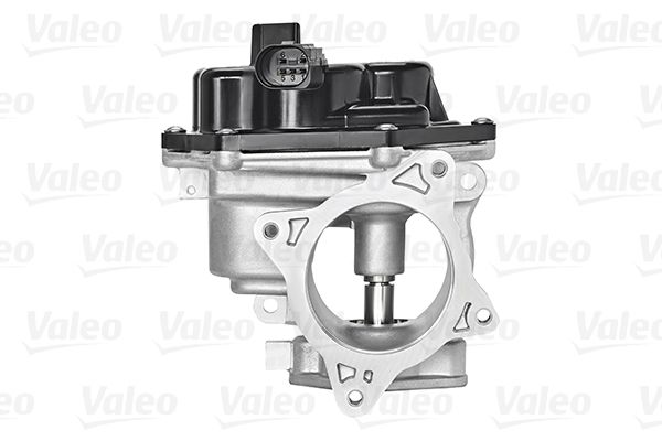 EGR Valve VALEO 700448