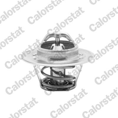 Thermostat, coolant CALORSTAT by Vernet TH5962.82J