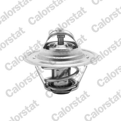 Thermostat, coolant CALORSTAT by Vernet TH6276.87J