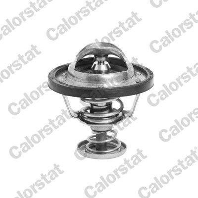 Thermostat, coolant CALORSTAT by Vernet TH6295.71J