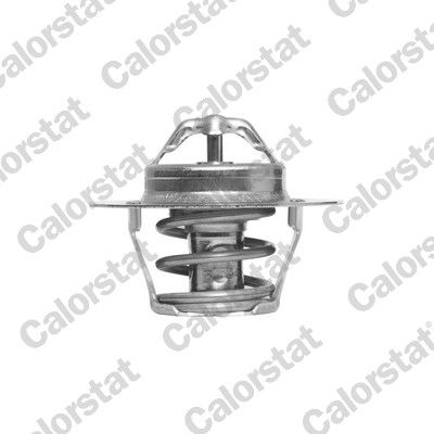 Thermostat, coolant CALORSTAT by Vernet TH6318.89J