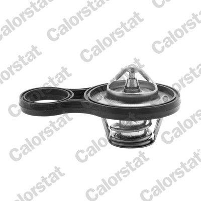 Thermostat, coolant CALORSTAT by Vernet TH6843.91J