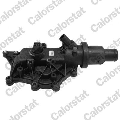 Thermostat, coolant CALORSTAT by Vernet TH6971.83J