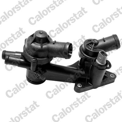 Thermostat, coolant CALORSTAT by Vernet TH7168.87J