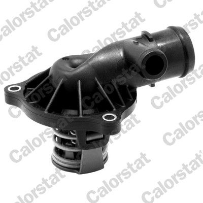 Thermostat, coolant CALORSTAT by Vernet TH7174.87J