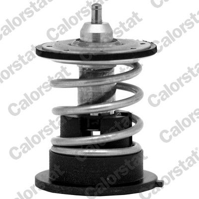 Thermostat, coolant CALORSTAT by Vernet TH7287.87