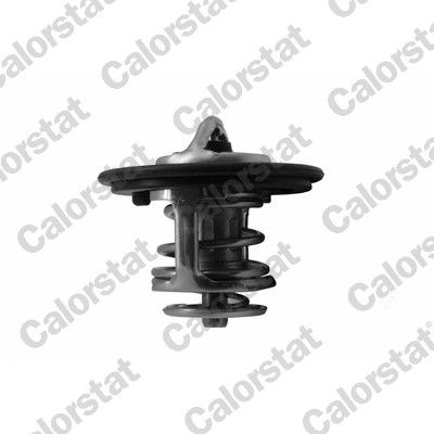 Thermostat, coolant CALORSTAT by Vernet TH7413.82J