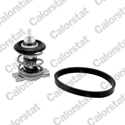 Thermostat, coolant CALORSTAT by Vernet TH9200.88J