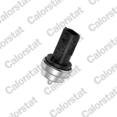Senzor, temperatura rashladne tekućine CALORSTAT by Vernet WS3019