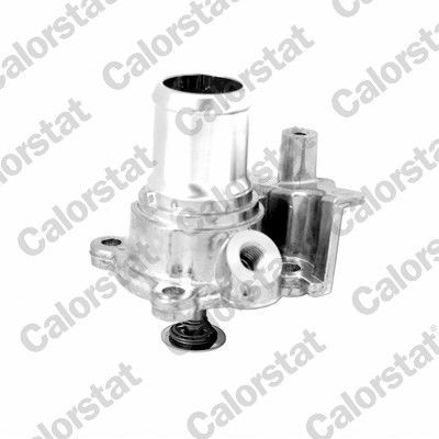 Thermostat, coolant CALORSTAT by Vernet TH7303.82J