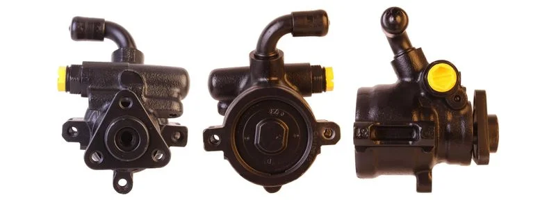Hydraulic Pump, steering ELSTOCK 15-0008
