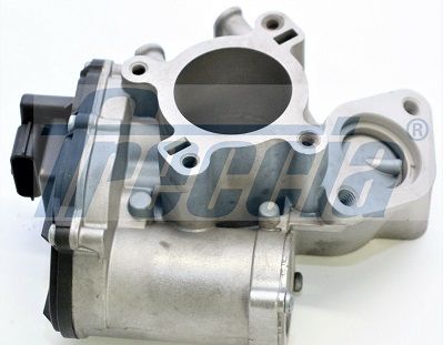 EGR Valve FRECCIA EGR12-200