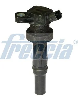 Ritė, uždegimas Freccia IC15-1109