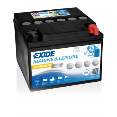 Starterio akumuliatorius EXIDE ES290