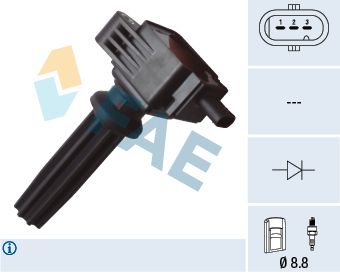 Ritė, uždegimas FAE 80255