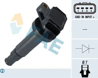 Ritė, uždegimas FAE 80282