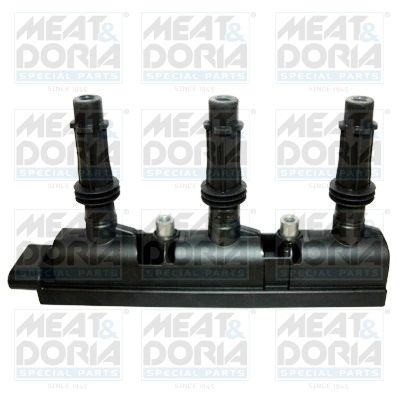 Ignition Coil MEAT & DORIA 10756